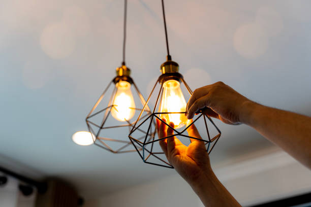 Best Outdoor Lighting Installation  in Fruitland, IA