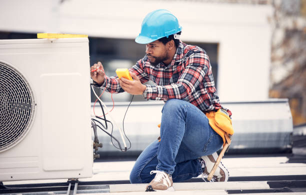 Best Affordable Electrician  in Fruitland, IA
