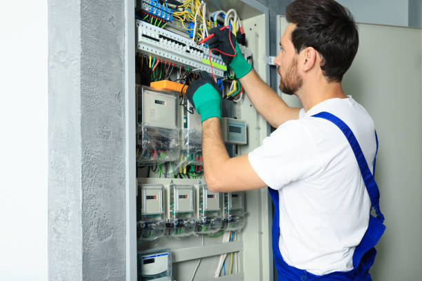 Best Home Electrical Repair  in Fruitland, IA