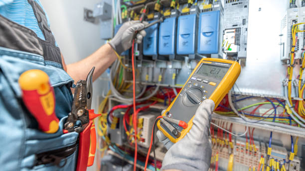 Best Electric Panel Repair  in Fruitland, IA
